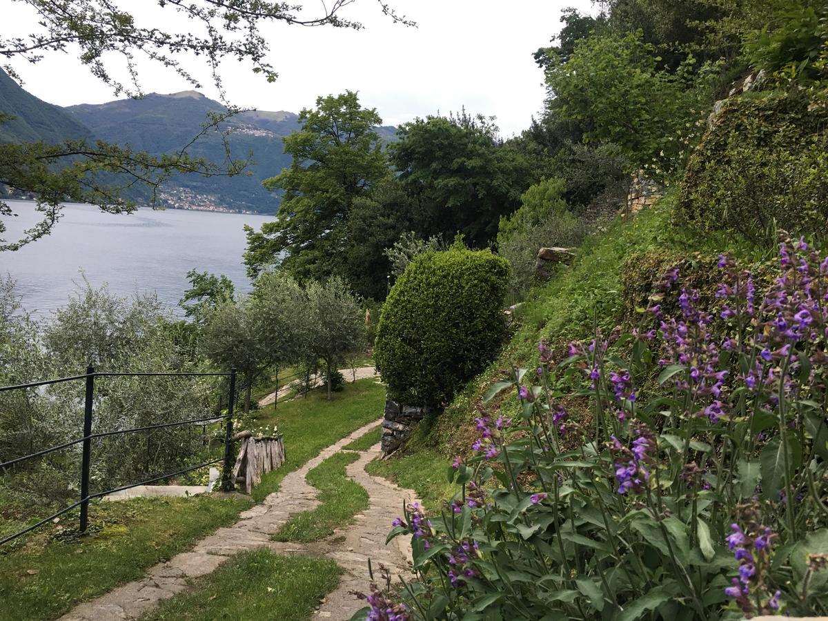 Castagna Holiday Home Nesso Ngoại thất bức ảnh